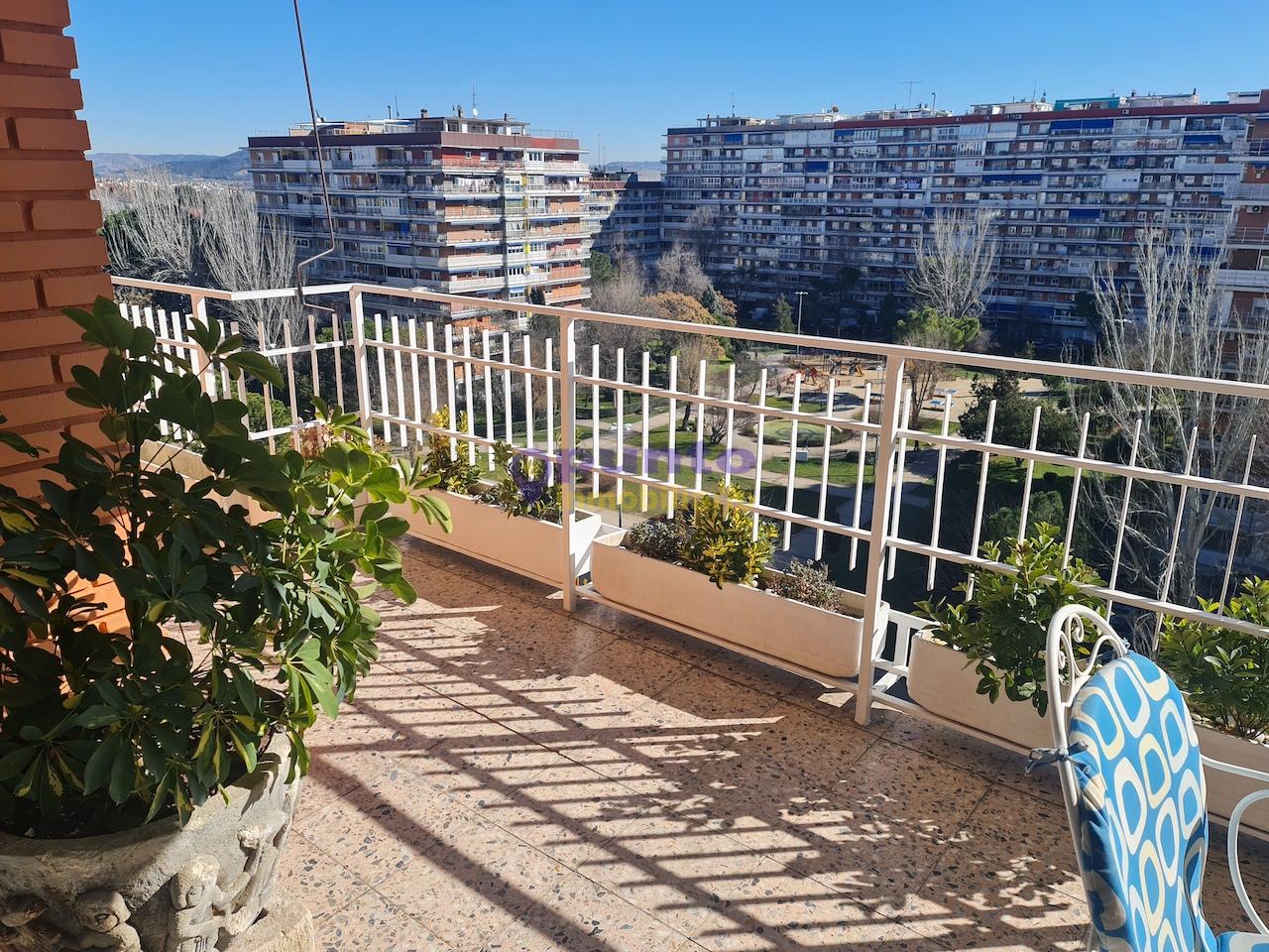 Terraço