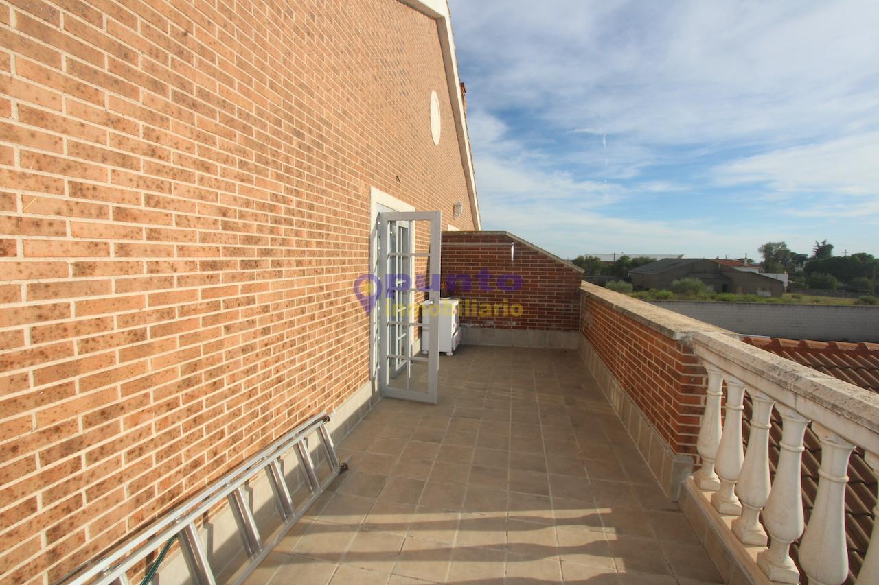 Terraza
