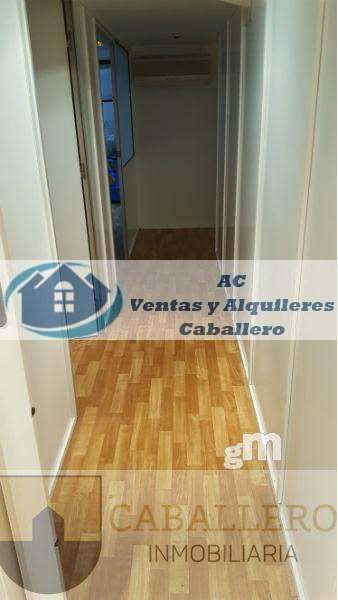 Alquiler de local comercial en Murcia