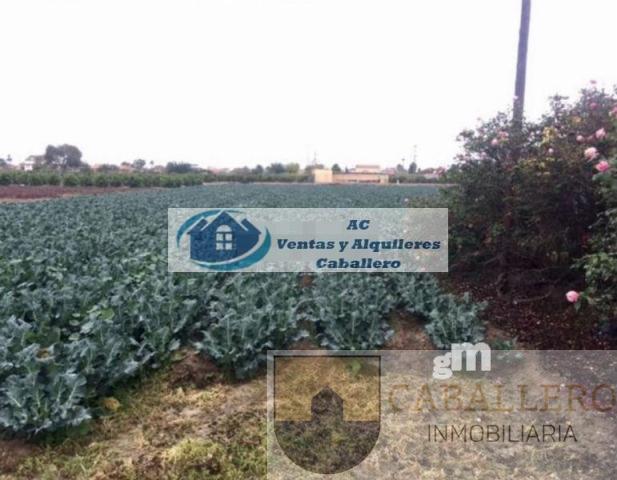 For sale of rural property in Beniel