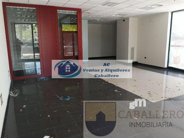 Alquiler de local comercial en Murcia