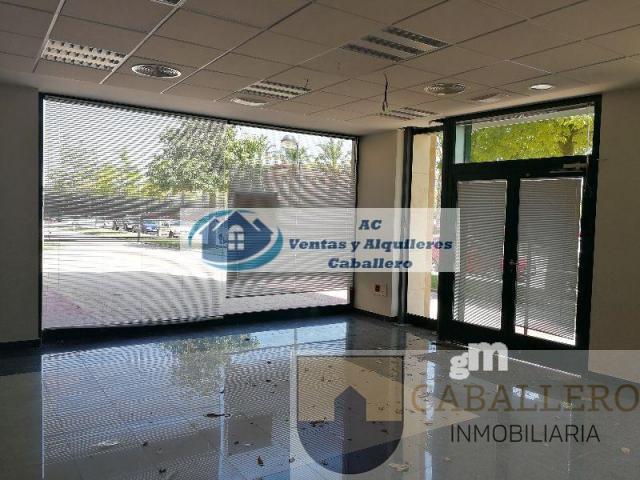 Alquiler de local comercial en Murcia