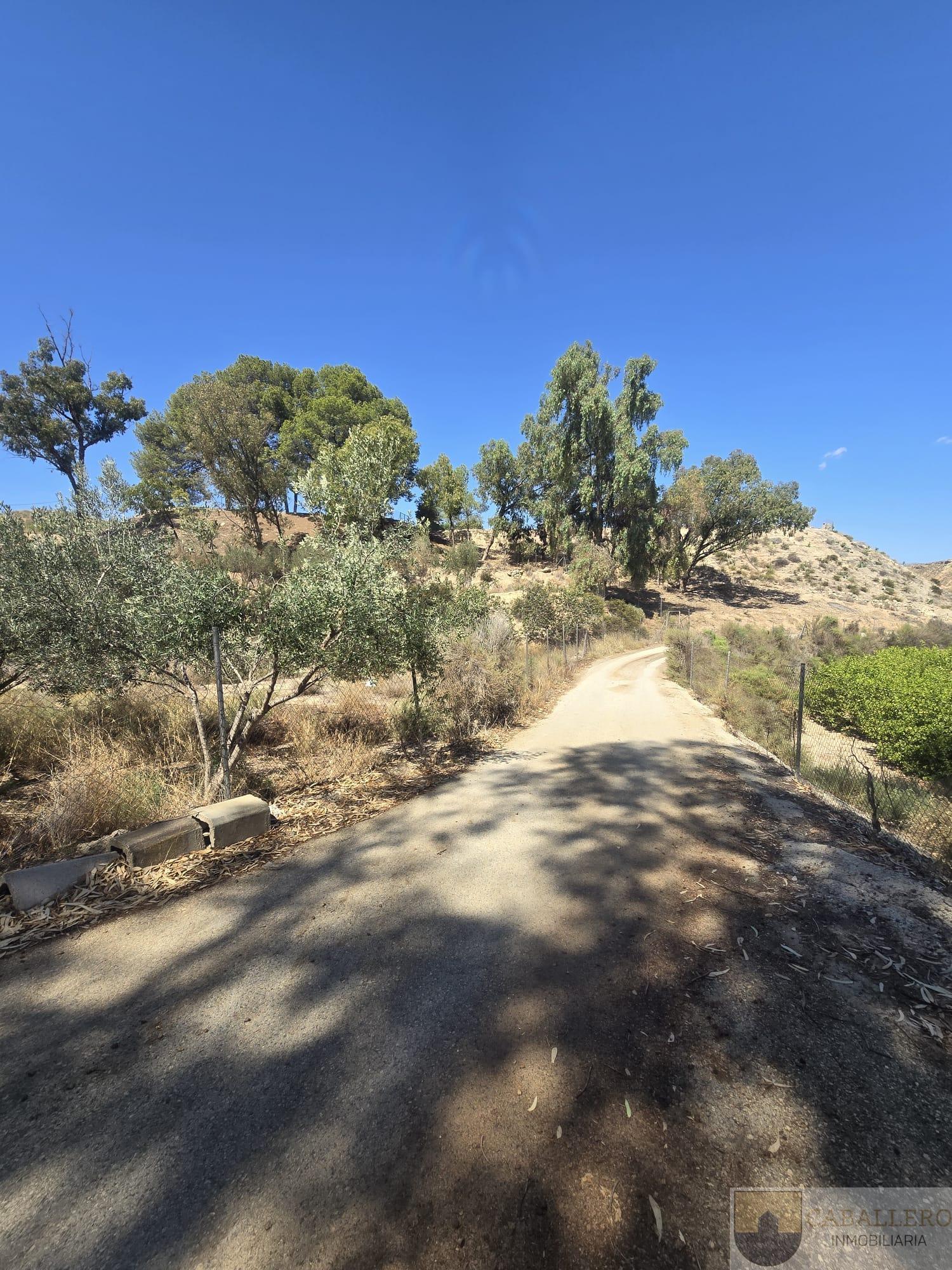 Venta de chalet en Murcia