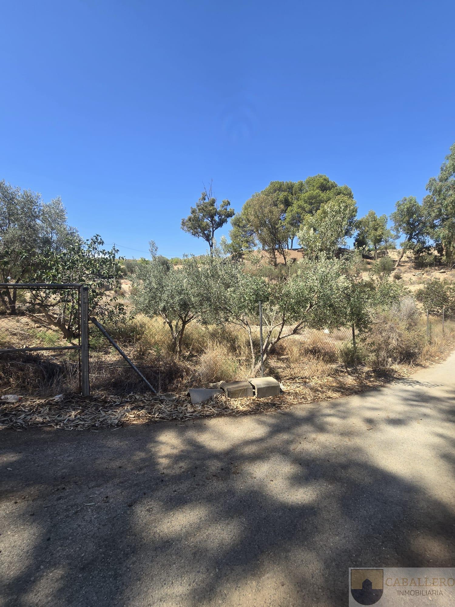 Venta de chalet en Murcia