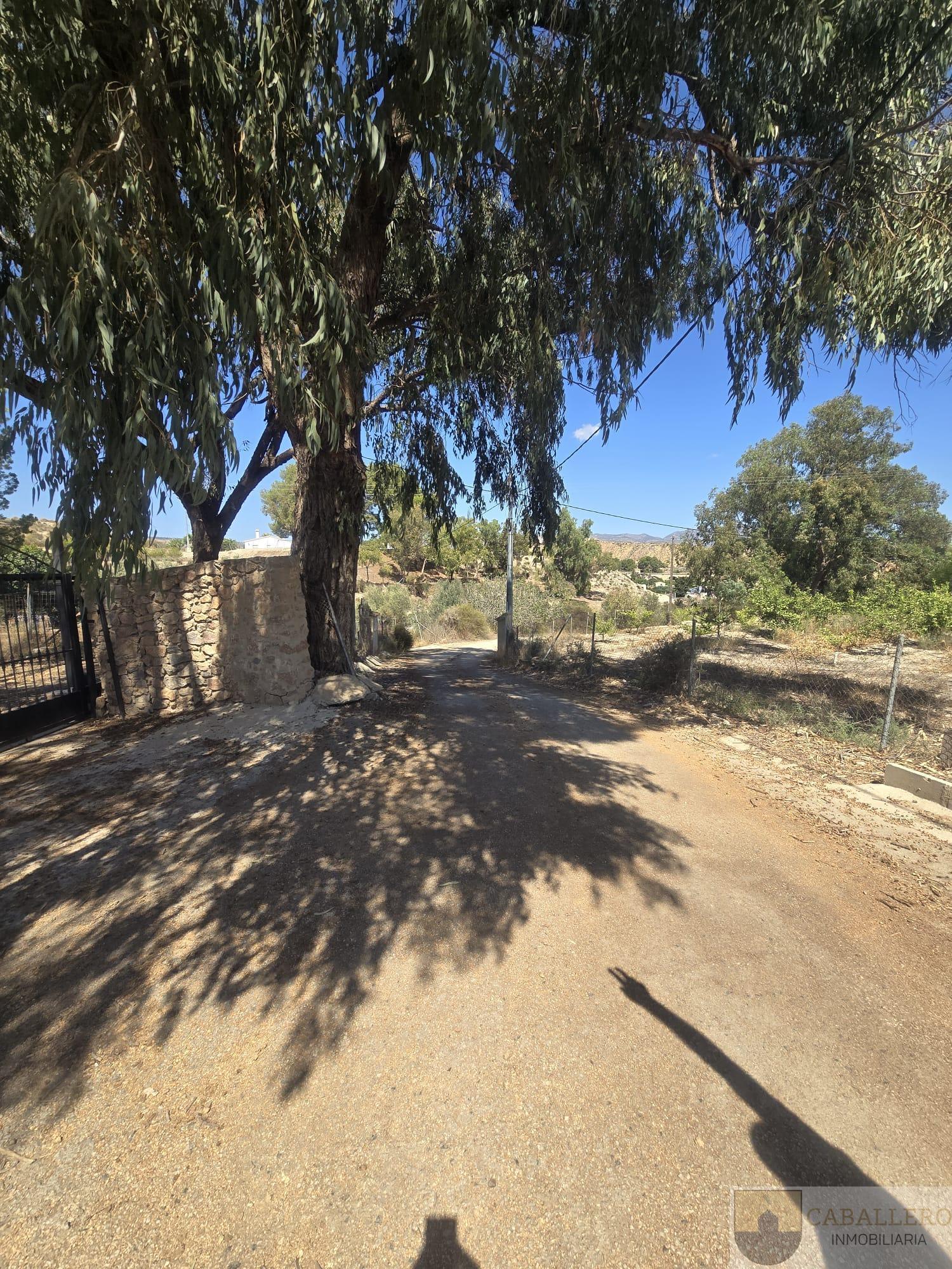 Venta de chalet en Murcia