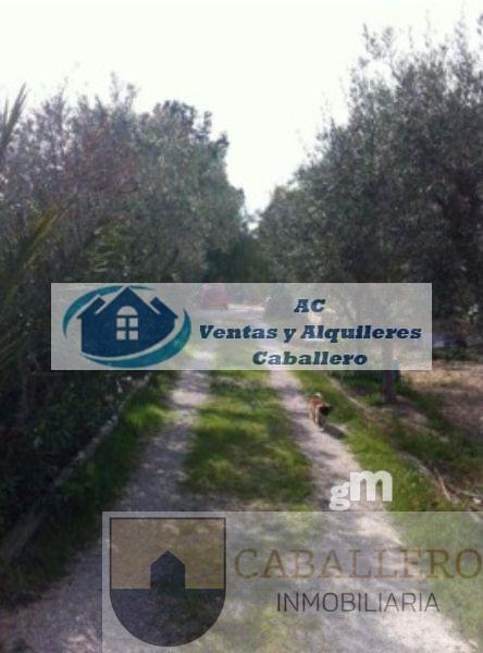 Venta de chalet en Murcia