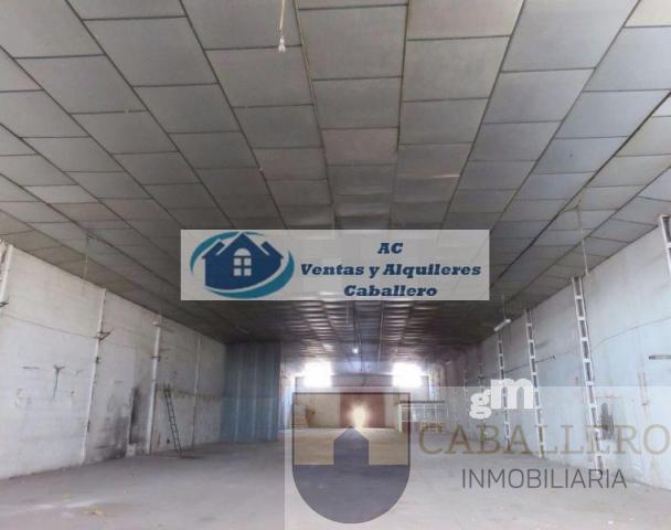 For rent of industrial plant/warehouse in Murcia