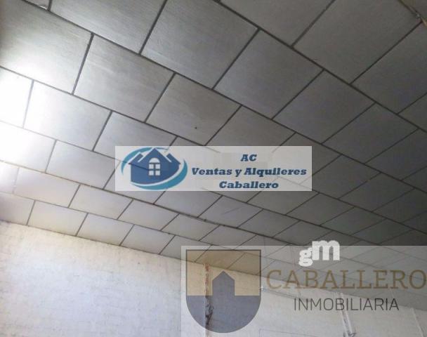 For rent of industrial plant/warehouse in Murcia