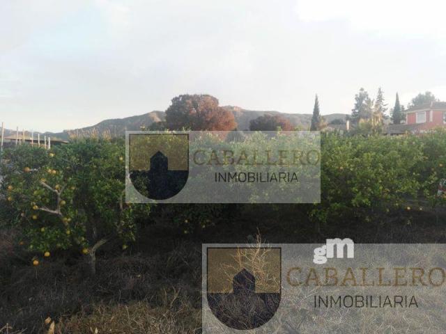 For sale of land in Murcia