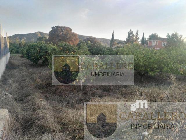 For sale of land in Murcia