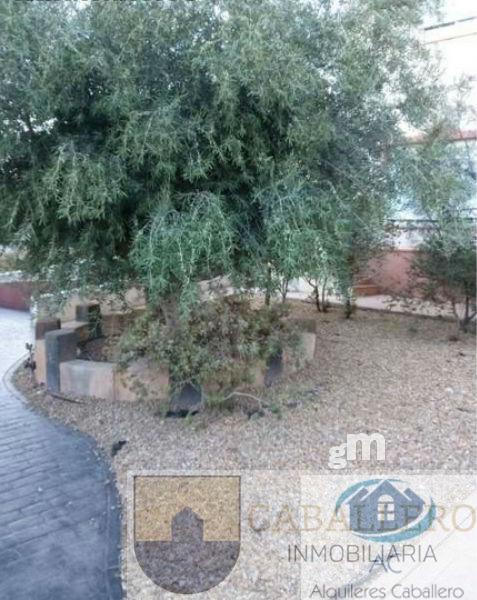 Venta de chalet en Murcia