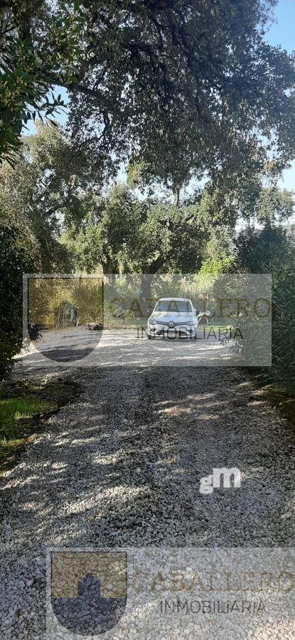 For rent of villa in Ferreira do Zêzere