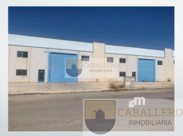 For rent of industrial plant/warehouse in Molina de Segura
