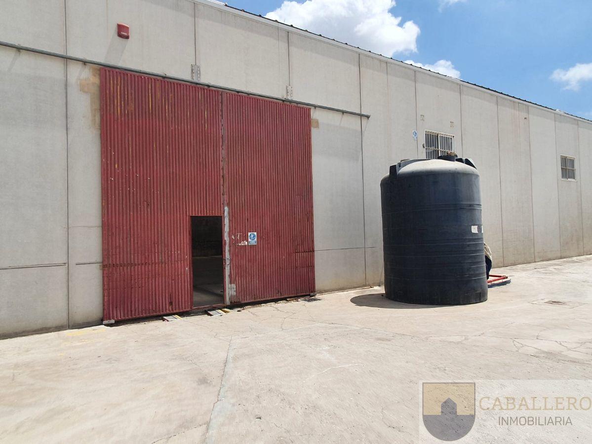 For rent of industrial plant/warehouse in Abanilla