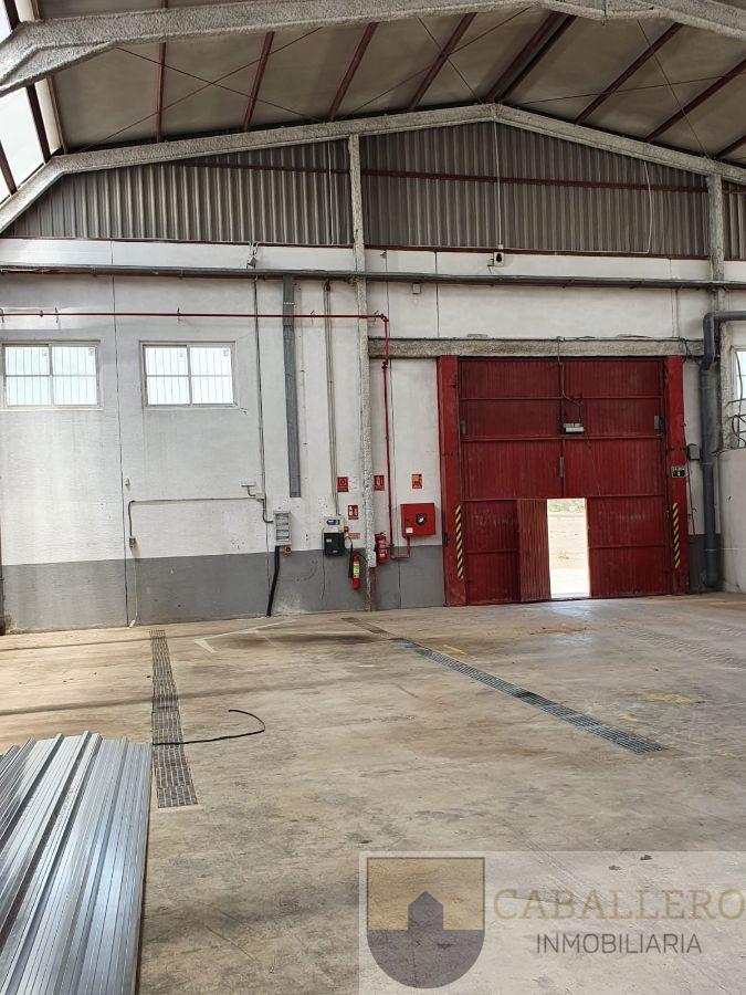 For rent of industrial plant/warehouse in Abanilla