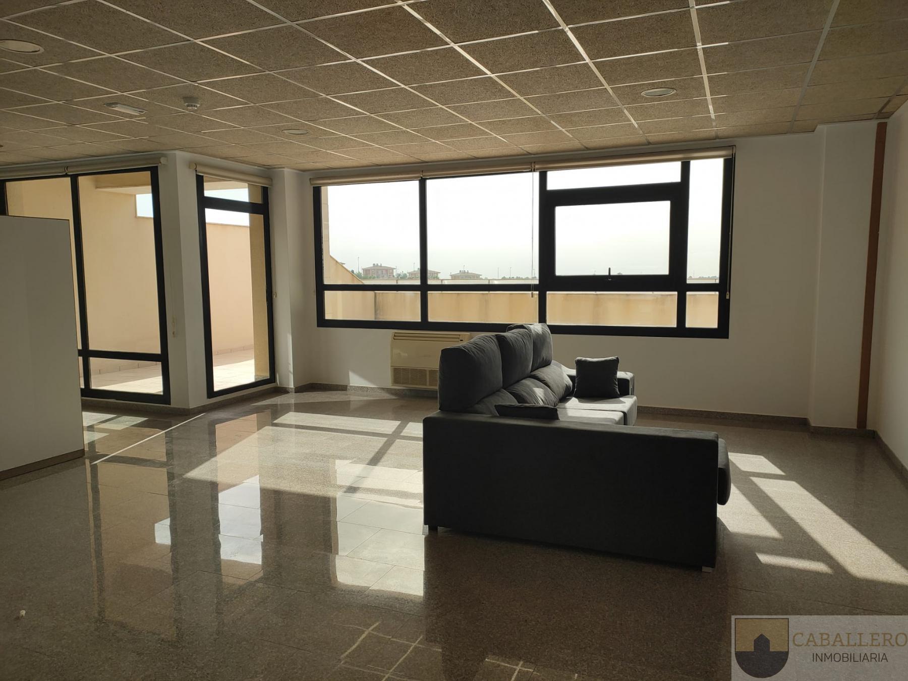 For rent of study in Murcia