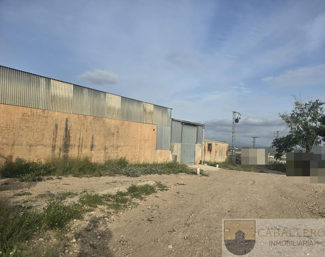For sale of land in Totana