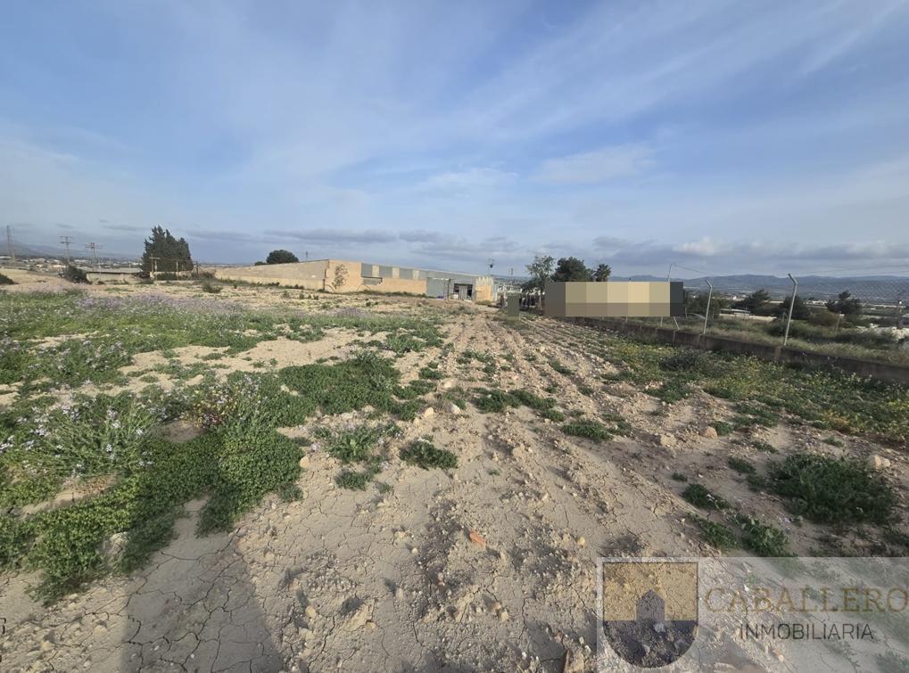 For sale of land in Totana