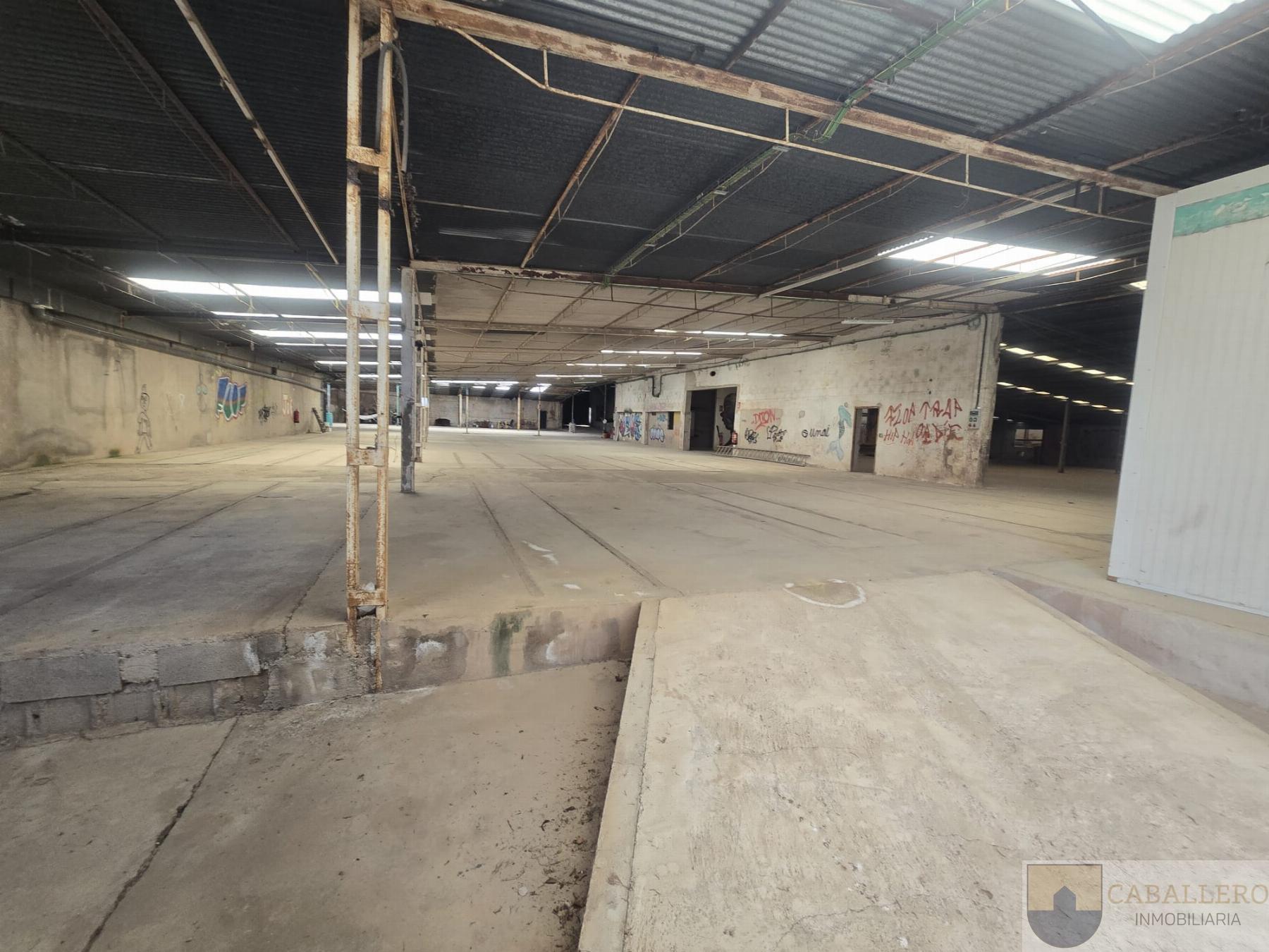 For sale of land in Totana
