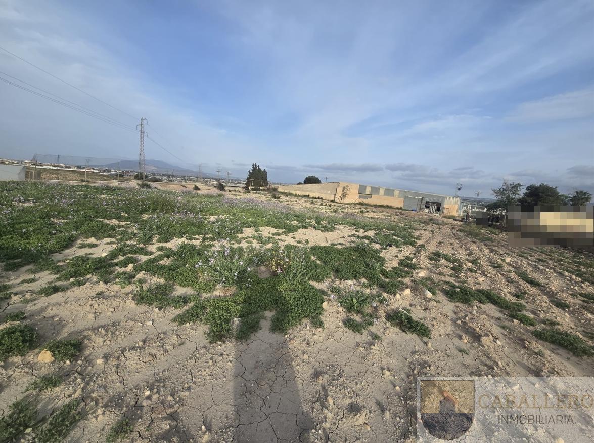 For sale of land in Totana