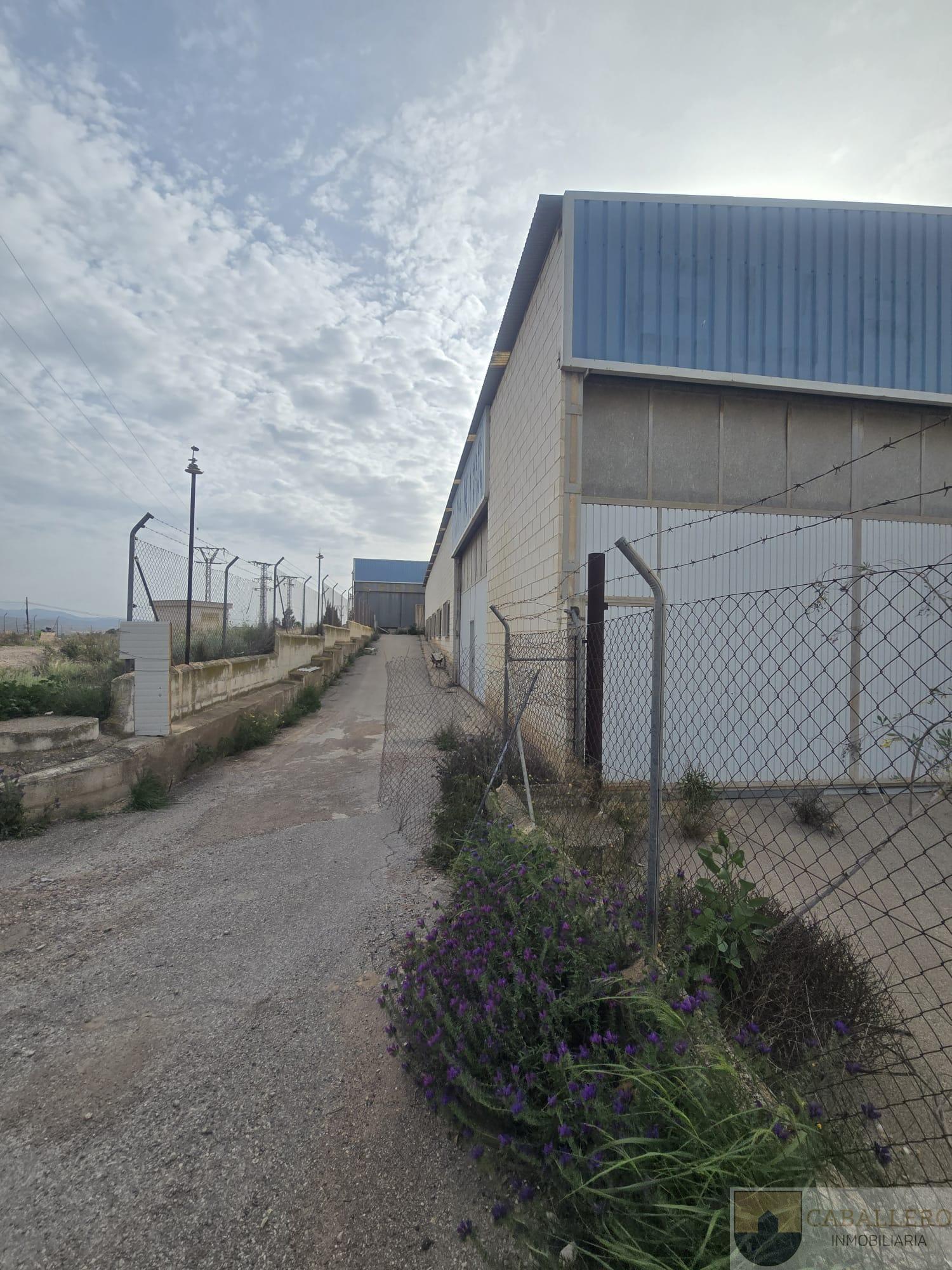 For sale of land in Totana