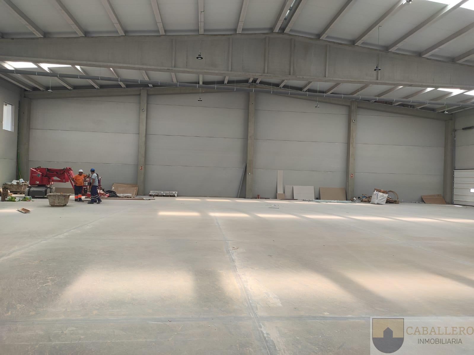 Alquiler de nave industrial en Murcia