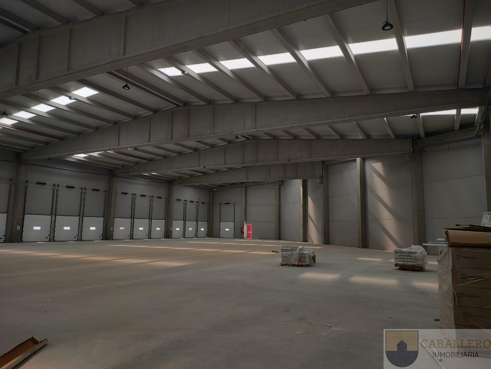 Alquiler de nave industrial en Murcia