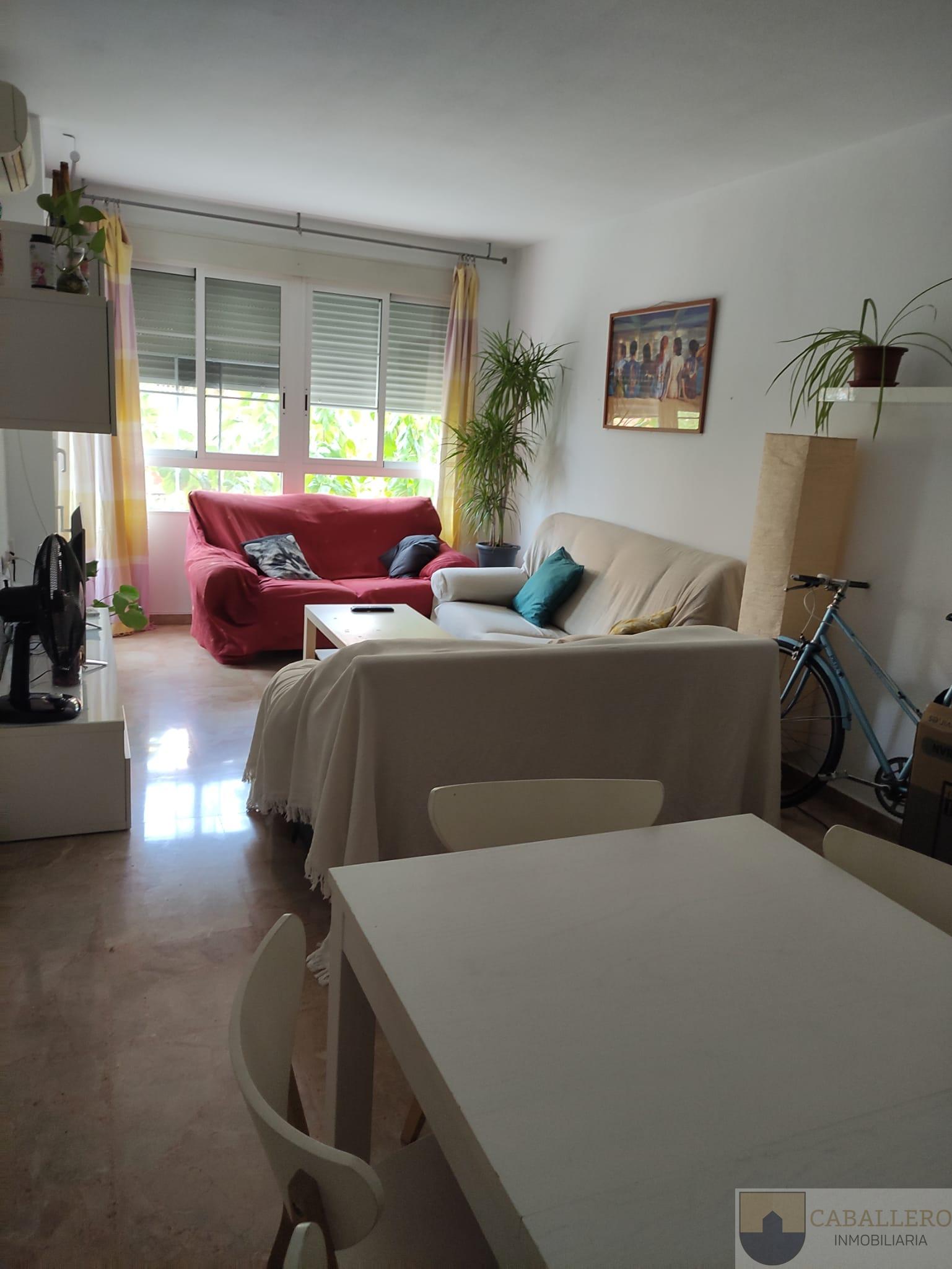 For rent of flat in Murcia