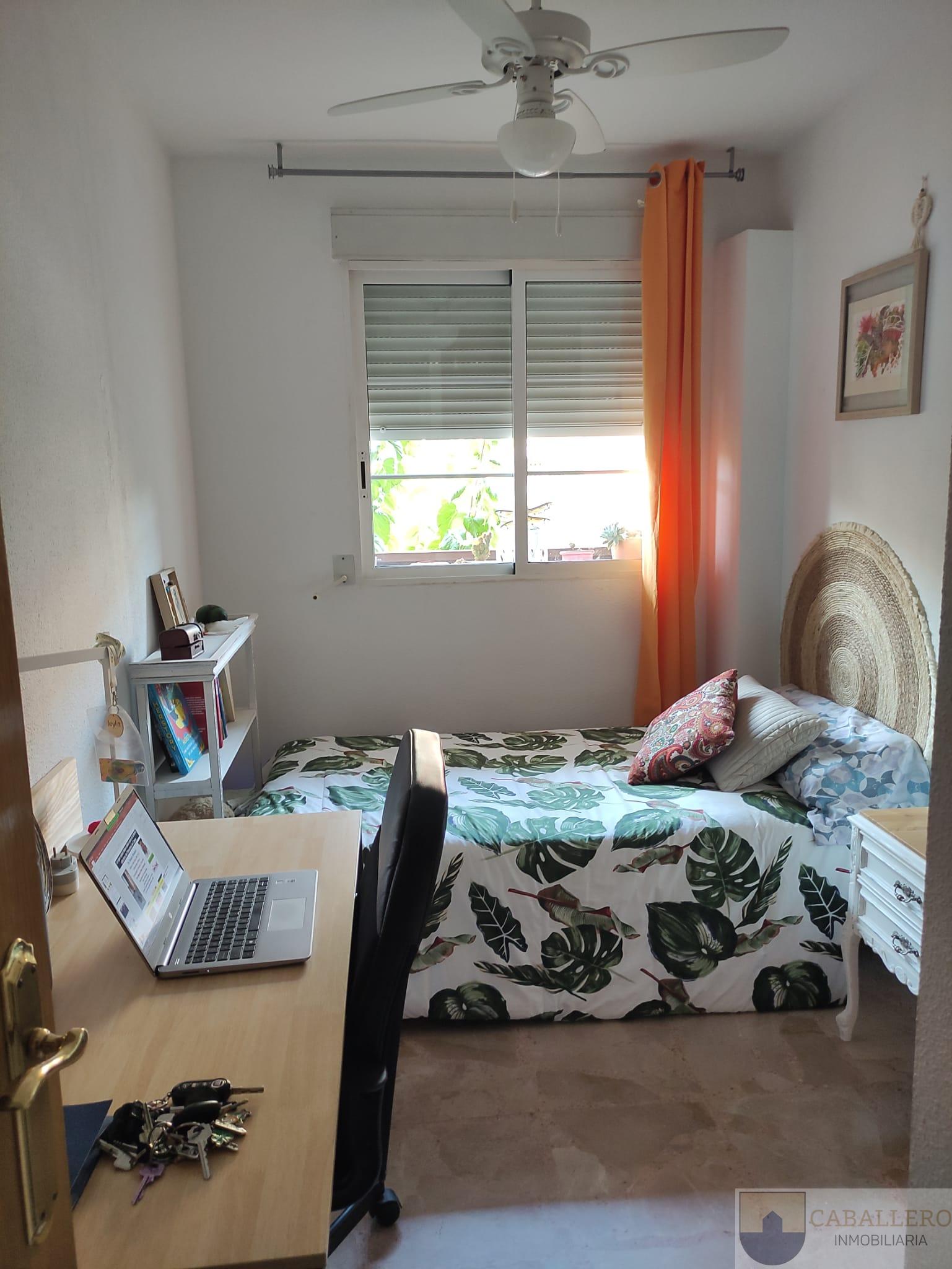 For rent of flat in Murcia
