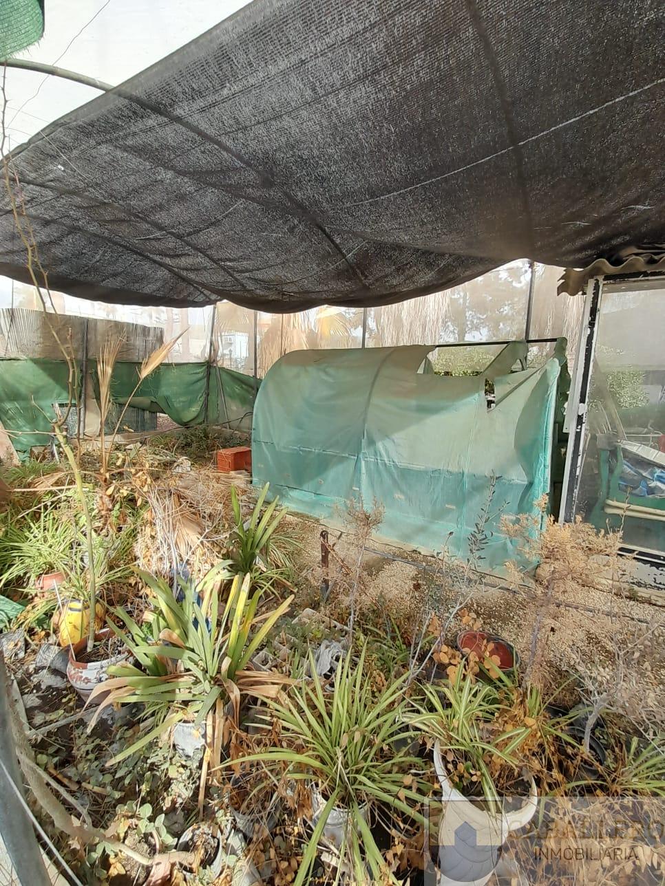 Venta de finca de recreo en Murcia