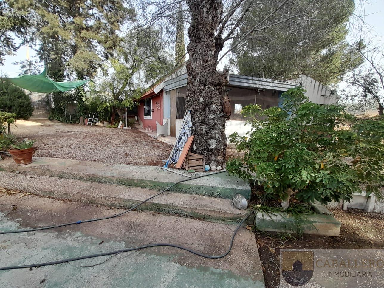 Venta de finca de recreo en Murcia