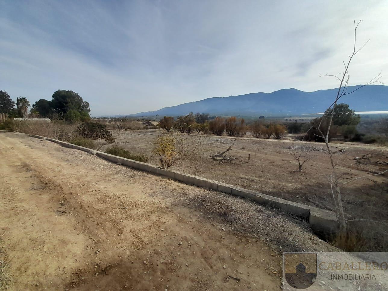 Venta de finca de recreo en Murcia