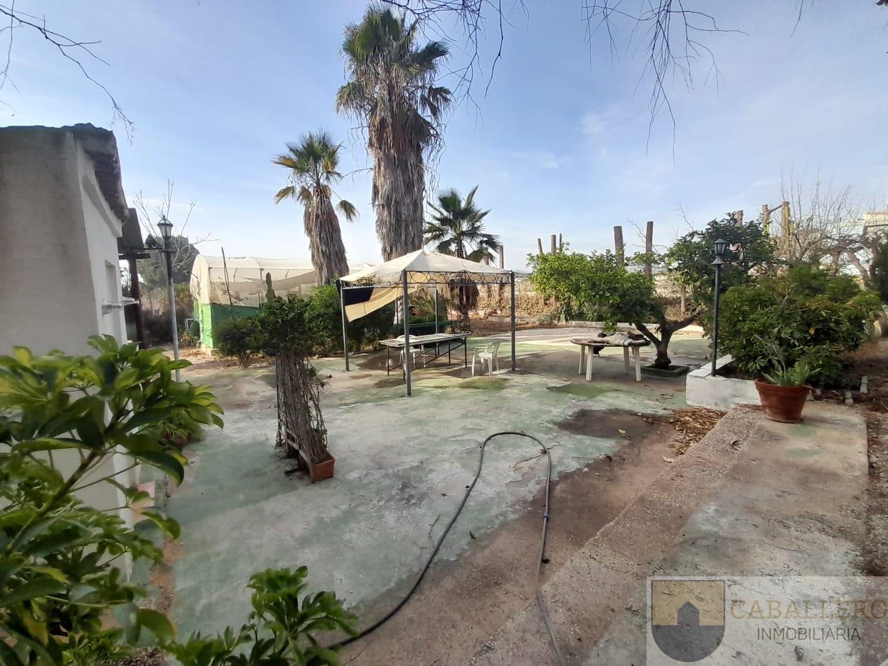 Venta de finca de recreo en Murcia