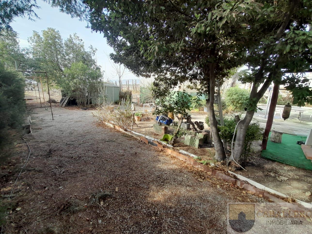 Venta de finca de recreo en Murcia