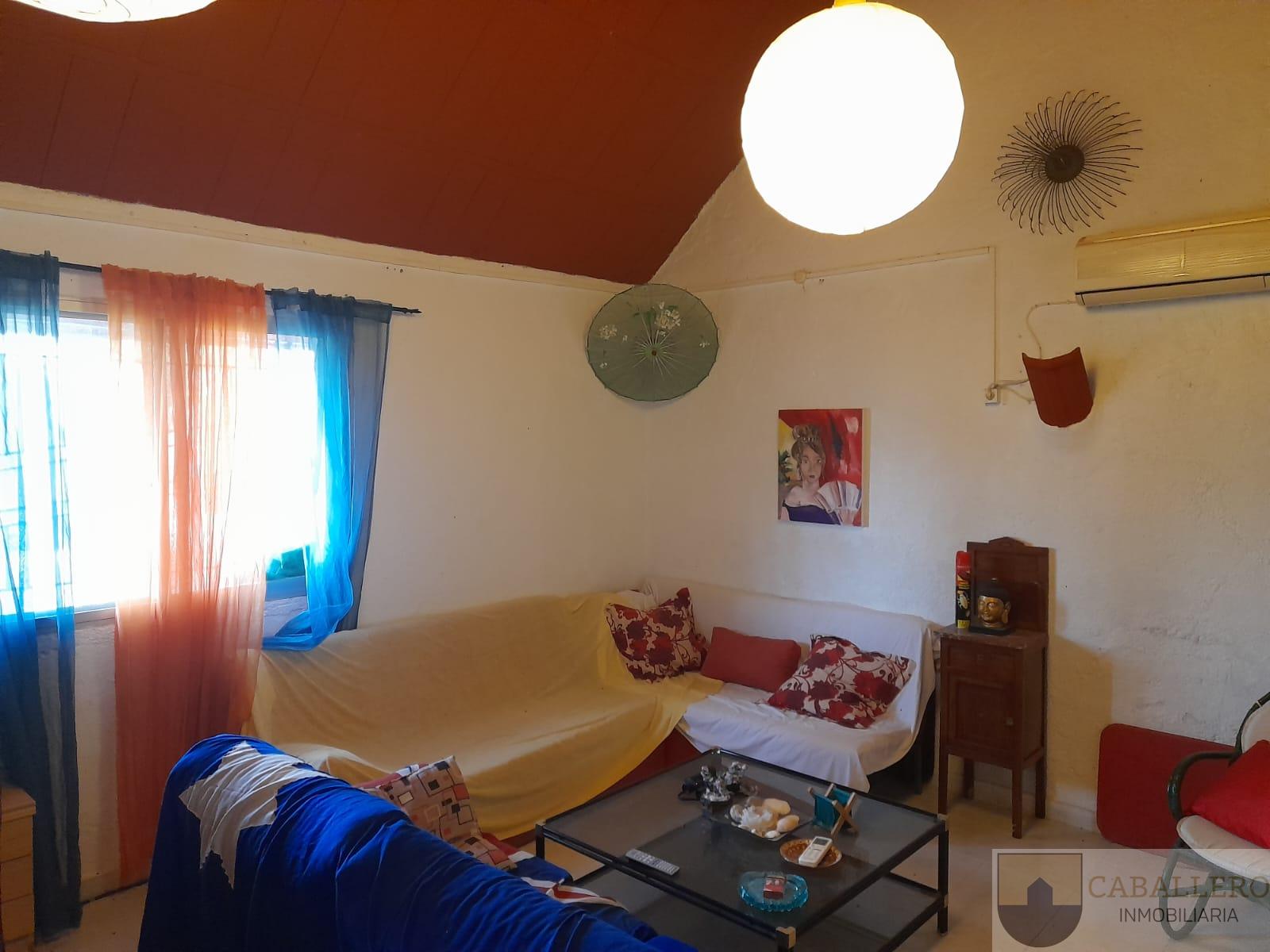 Venta de finca de recreo en Murcia