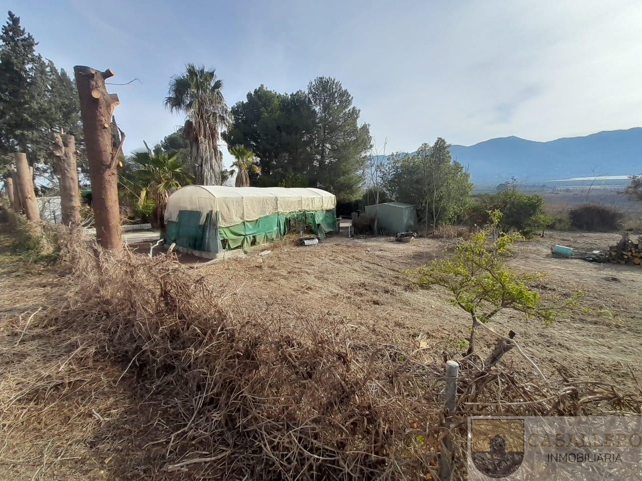 Venta de finca de recreo en Murcia