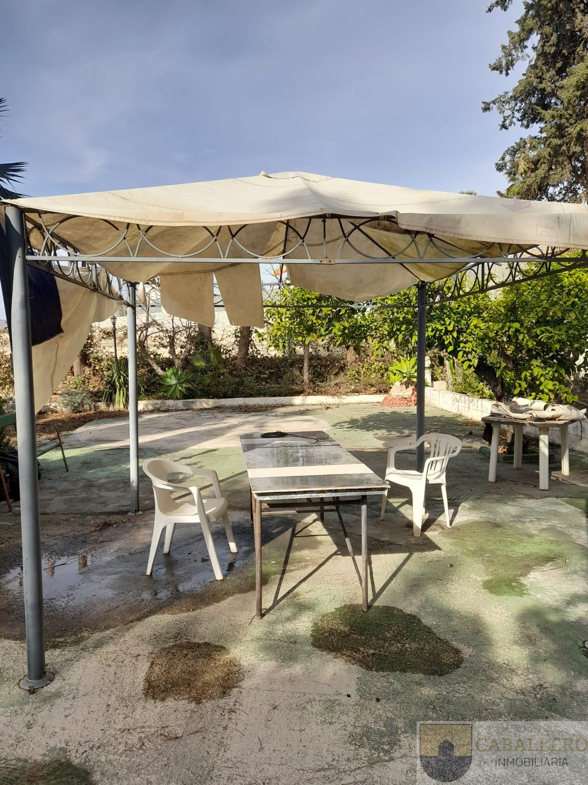Venta de finca de recreo en Murcia