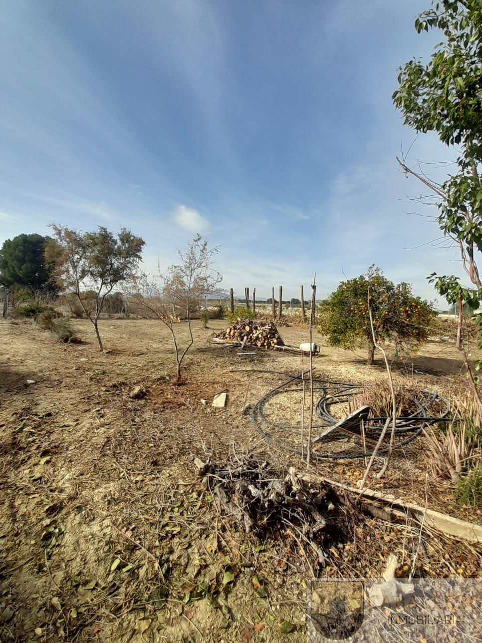 Venta de finca de recreo en Murcia