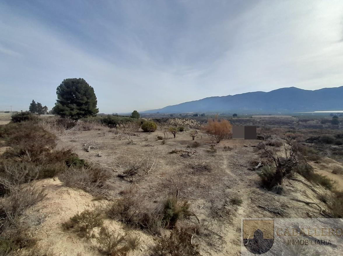 Venta de finca de recreo en Murcia