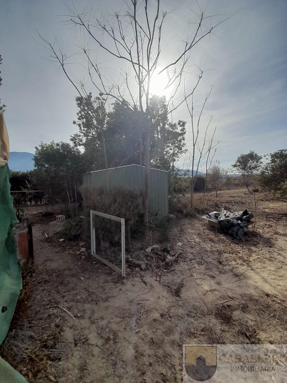 Venta de finca de recreo en Murcia