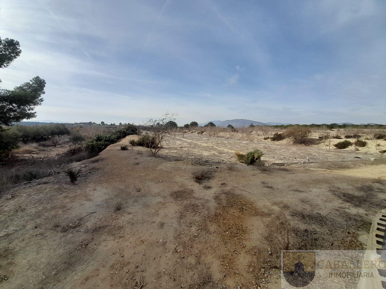 Venta de finca de recreo en Murcia