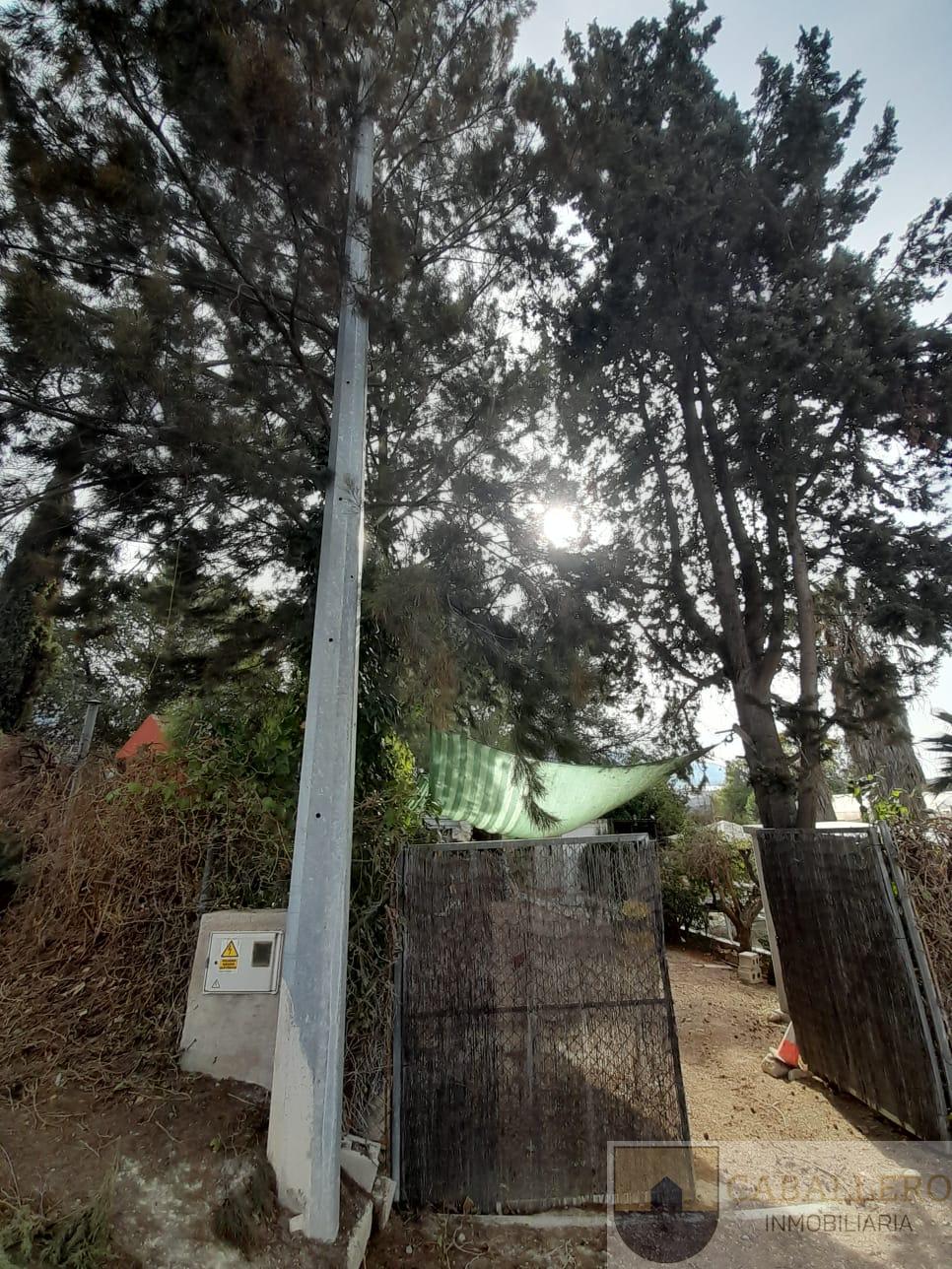 Venta de finca de recreo en Murcia
