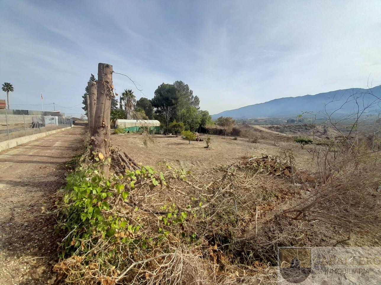 Venta de finca de recreo en Murcia
