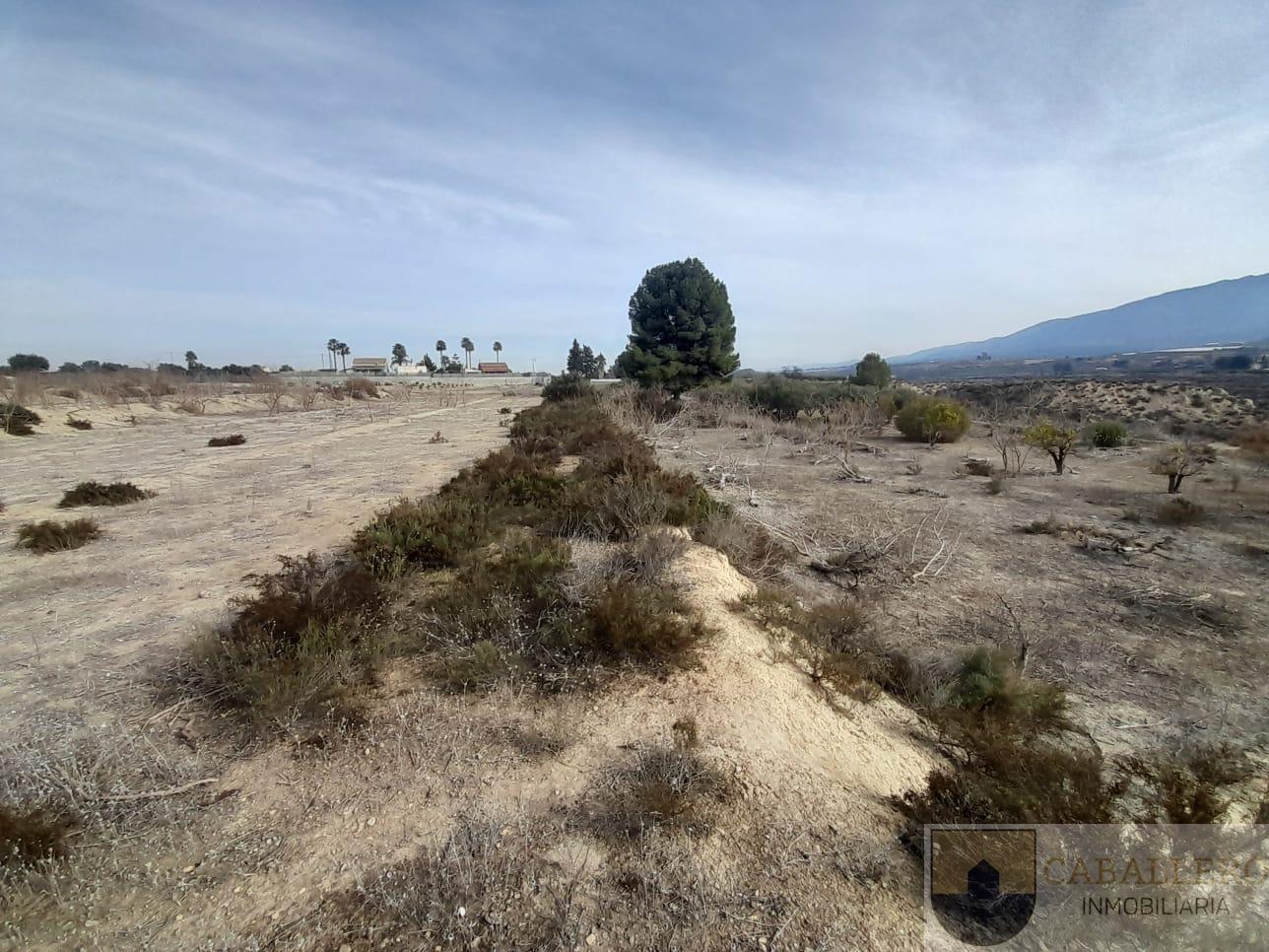 Venta de finca de recreo en Murcia