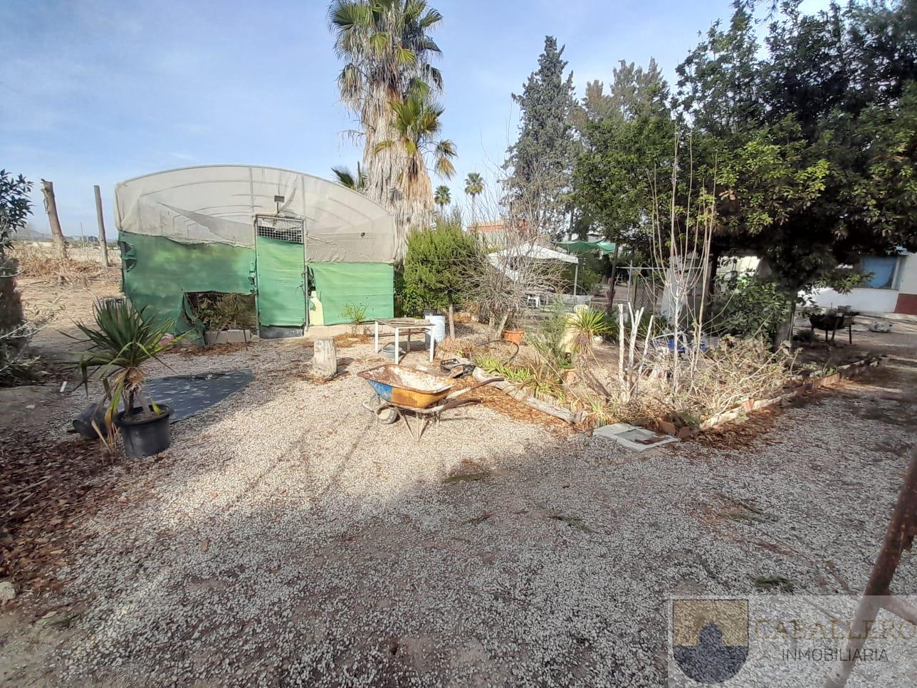 Venta de finca de recreo en Murcia