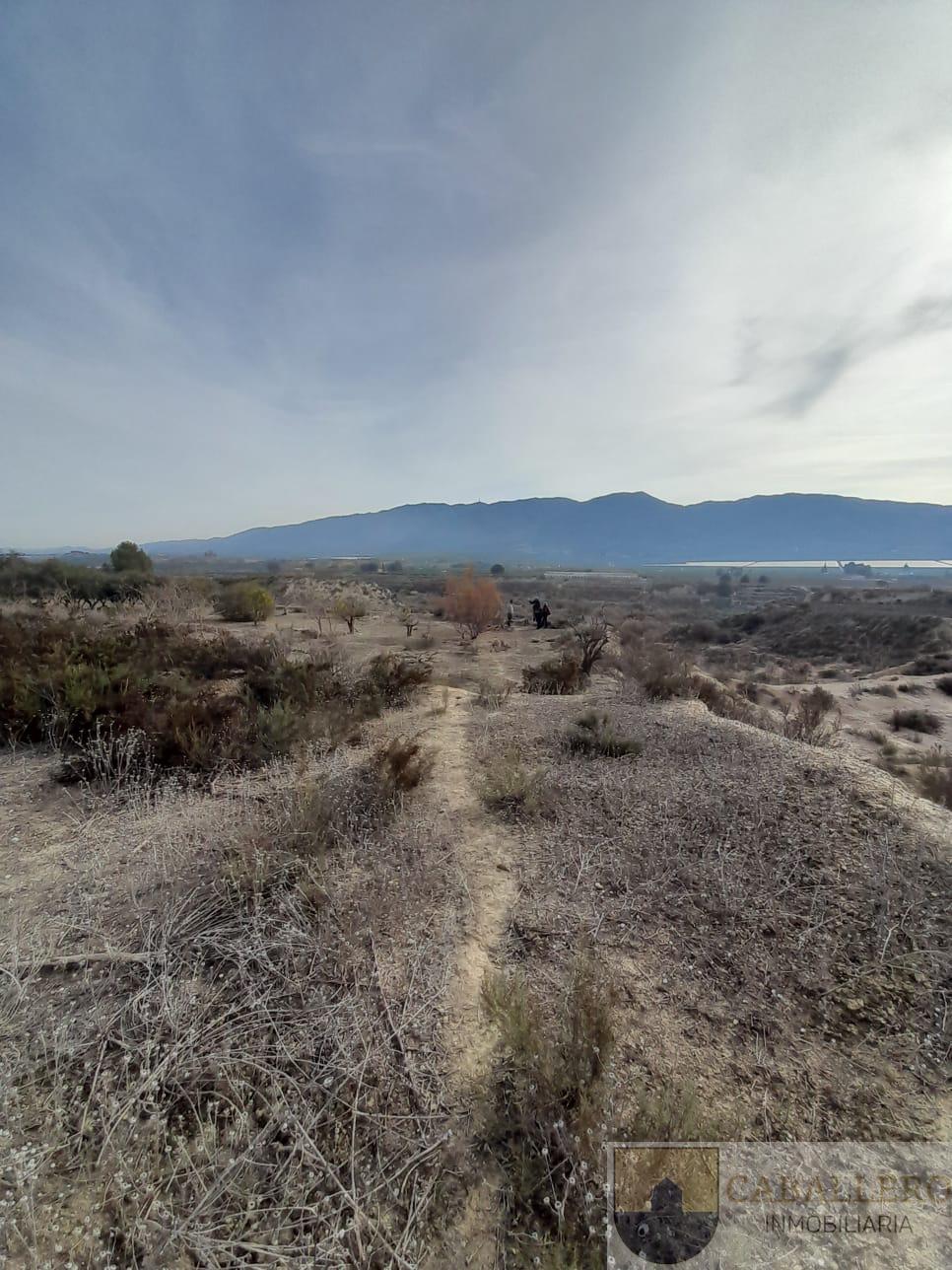 Venta de finca de recreo en Murcia