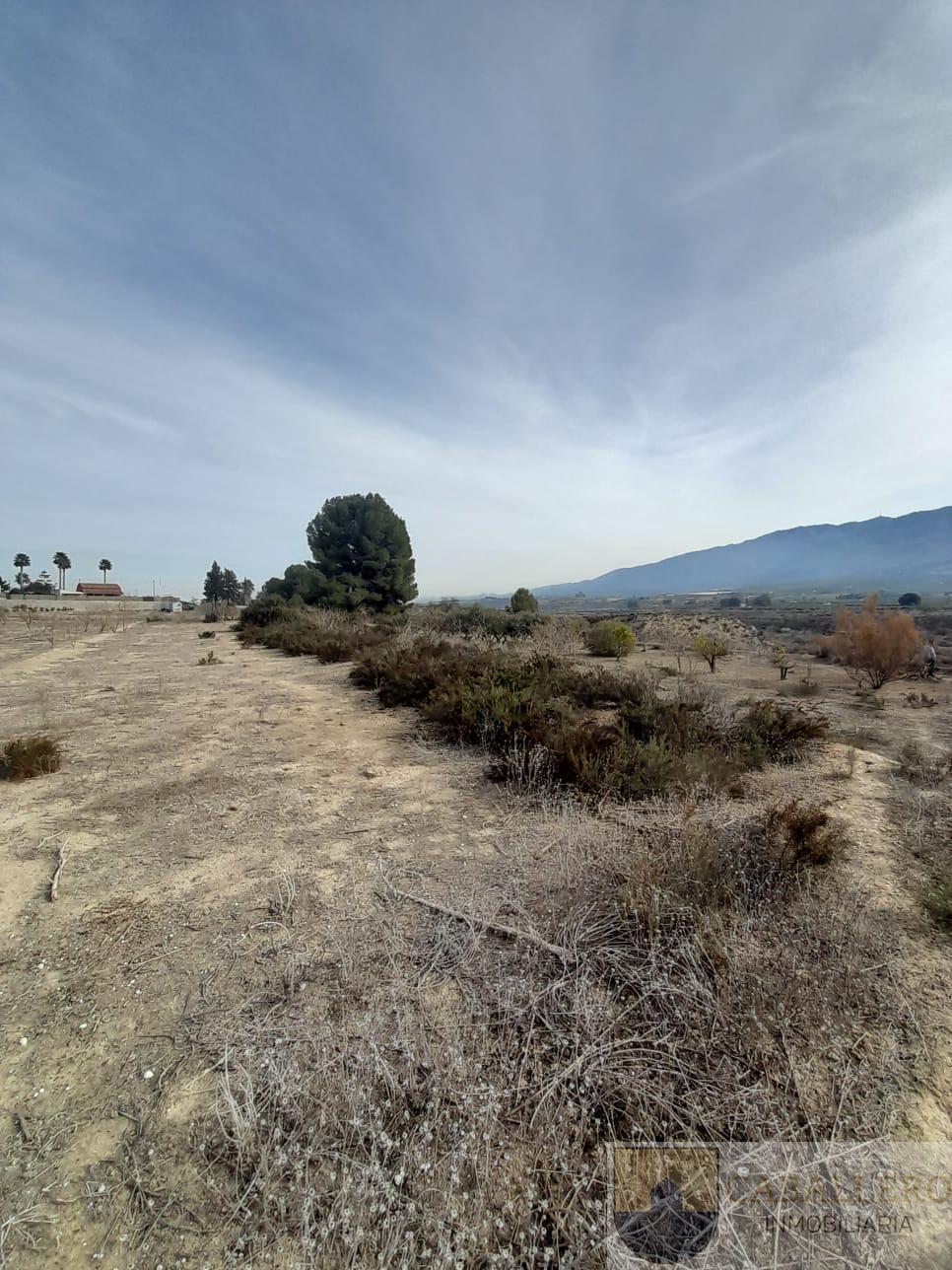 Venta de finca de recreo en Murcia