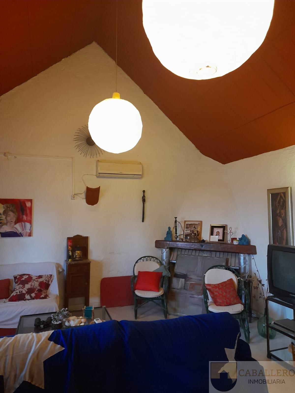 Venta de finca de recreo en Murcia