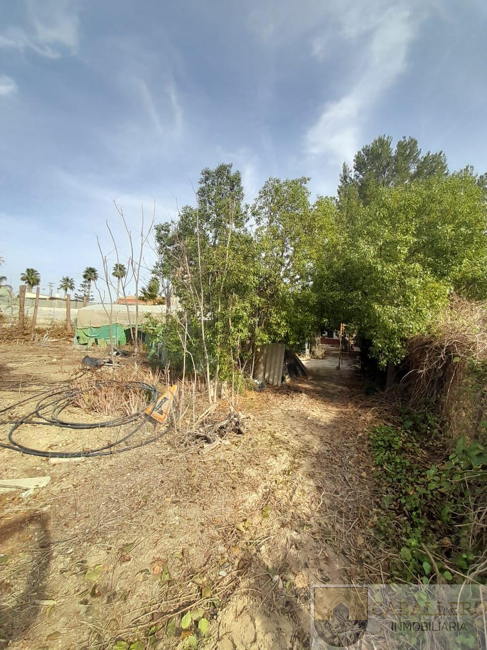 Venta de finca de recreo en Murcia