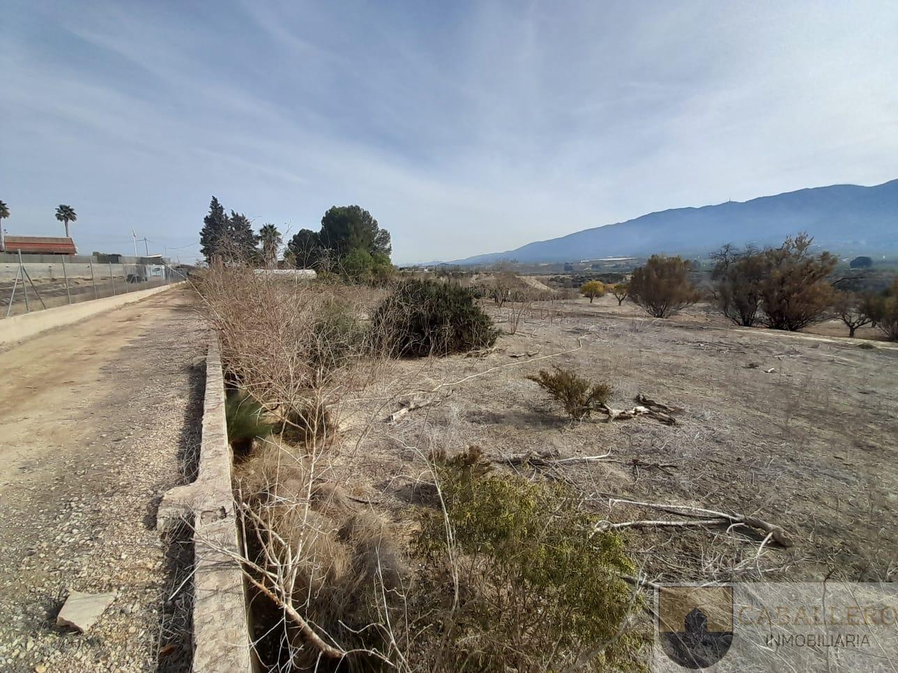 Venta de finca de recreo en Murcia
